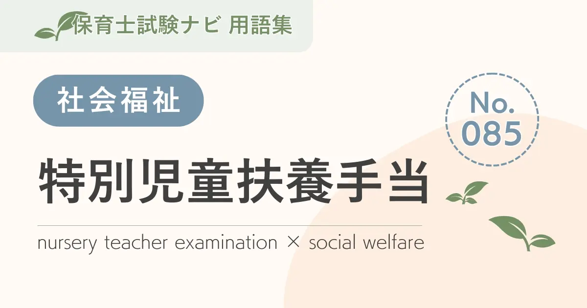 保育士試験対策用語集:特別児童扶養手当