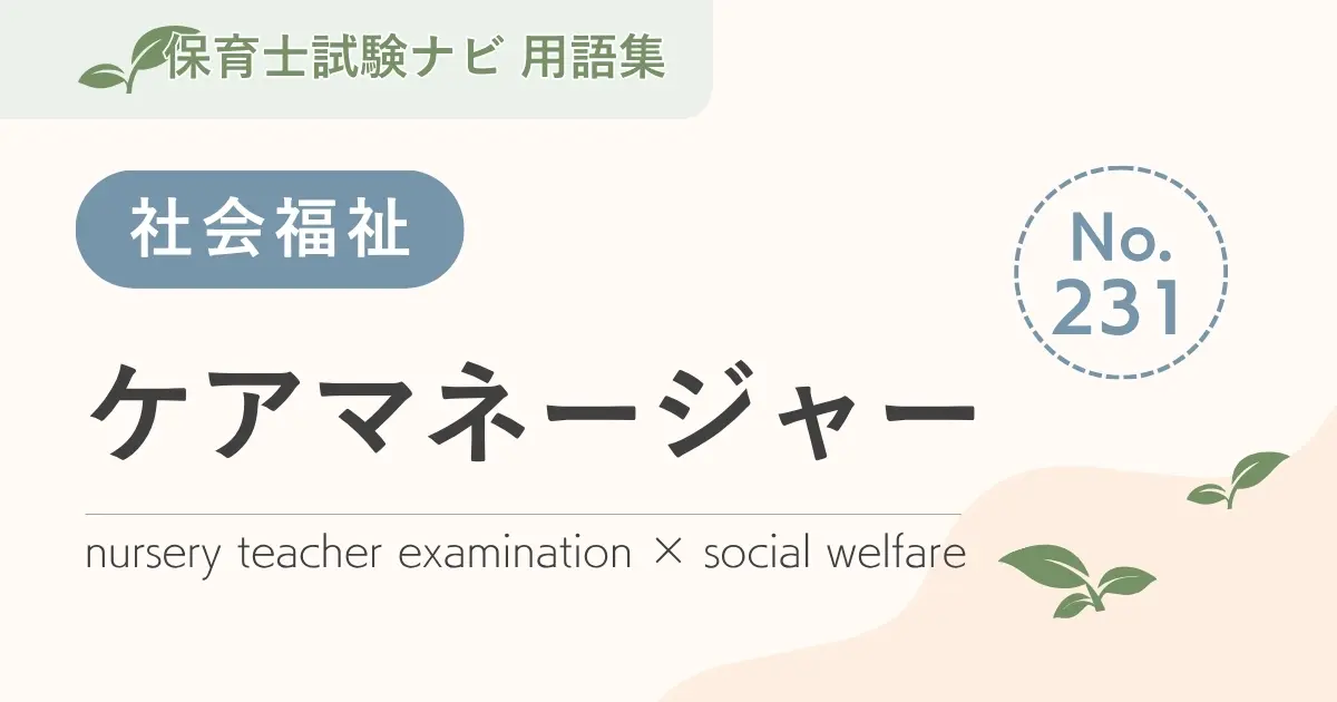 保育士試験対策用語集:ケアマネージャー